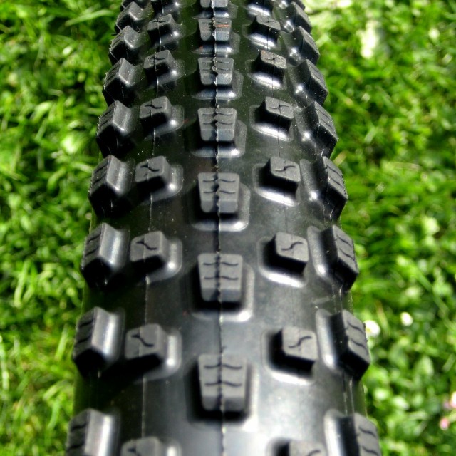 maxxis beaver 29