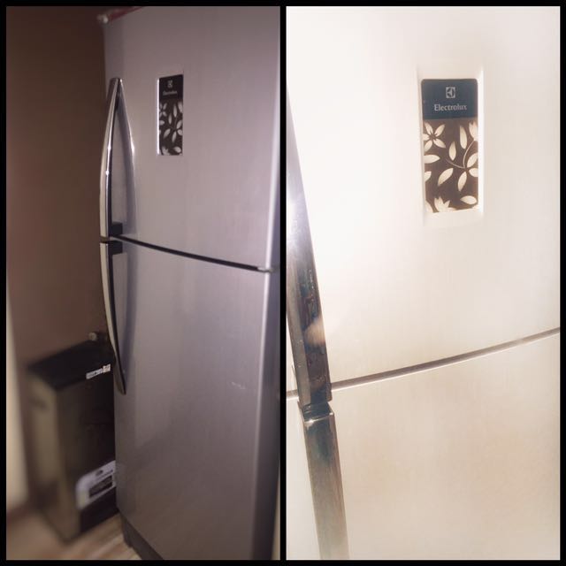 RUSH! Electrolux ETB2300PE Refrigerator, TV & Home Appliances, Kitchen
