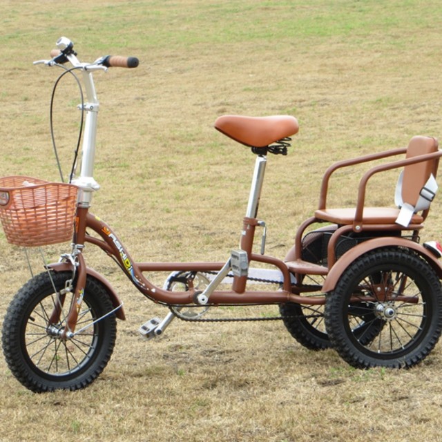 parent child tricycle