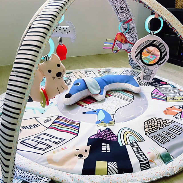 skip hop vibrant village activity gym