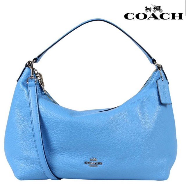 COACH handbag, Women's Fashion, Bags & Wallets, Purses & Pouches on