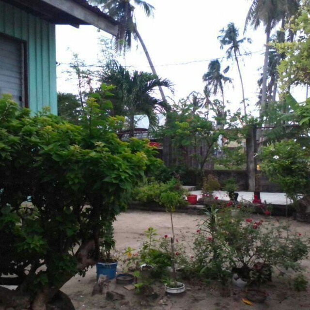 rush sale! price drop!! house n lot in santa fe, bantayan isl
