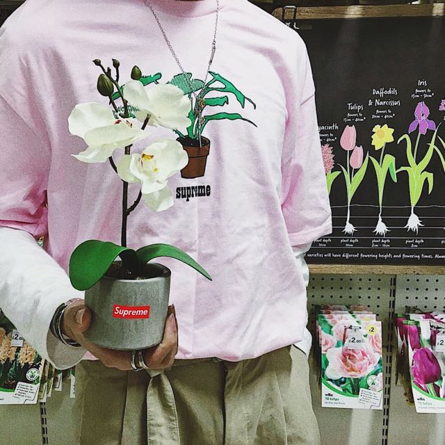 Supreme Plant Tee Black Men s Fashion Tops Sets Tshirts Polo Shirts on Carousell