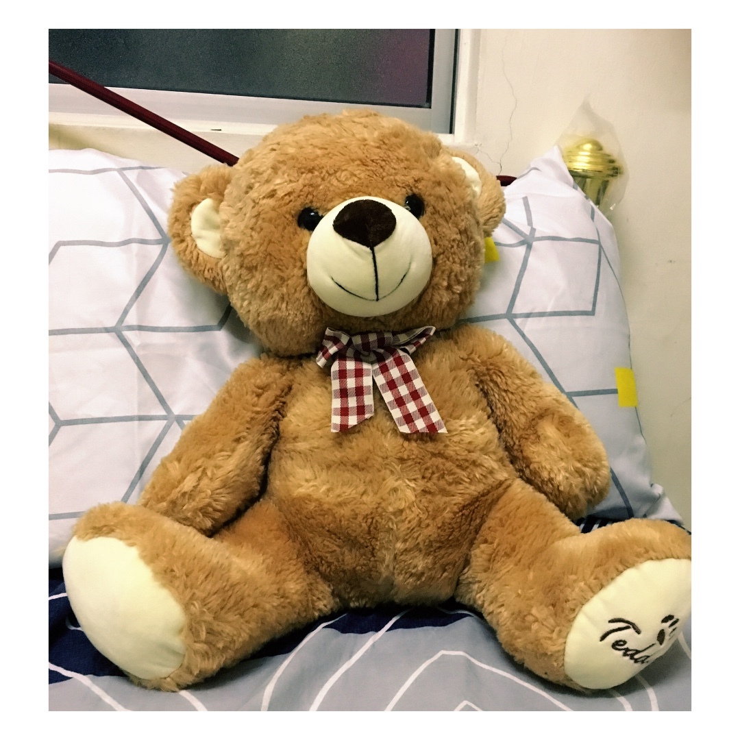 medium size teddy