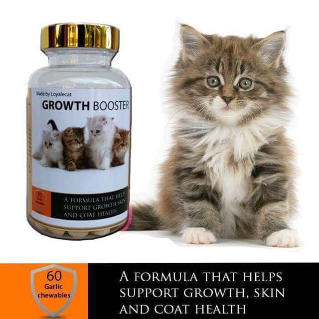Growth Booster For Cats on Carousell