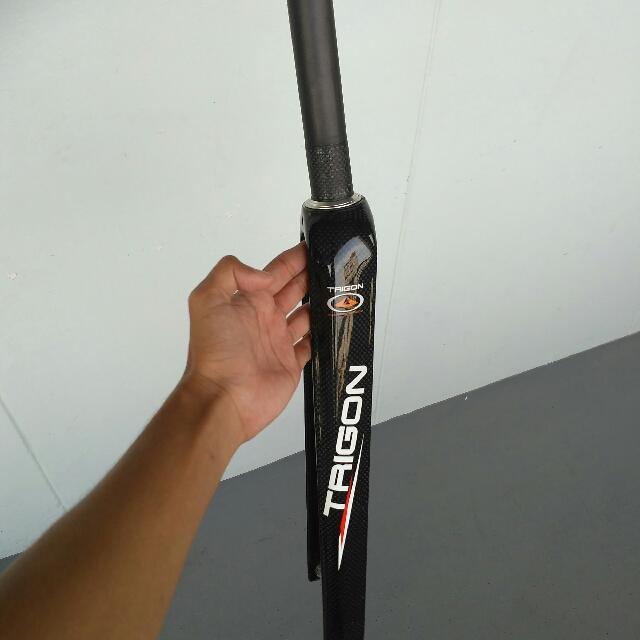 trigon carbon fork