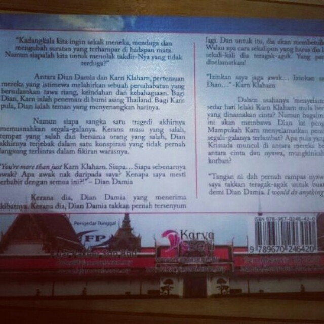 Novel Chan Rak Ter By Sara Aisha Books Stationery Books On Carousell