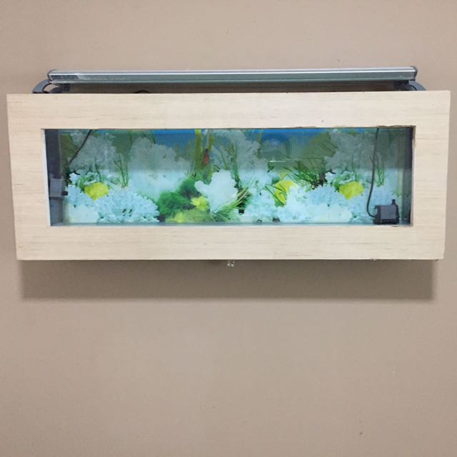 mounted fish tank
