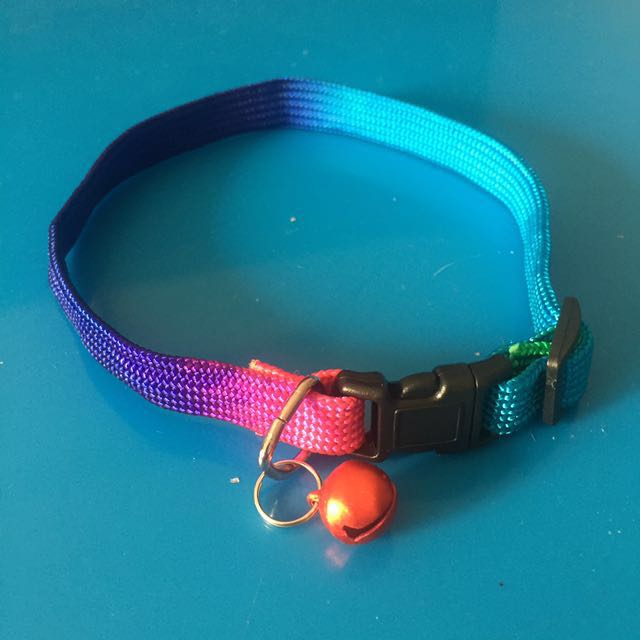 Rainbow Dog Collar Lead Leash On Carousell