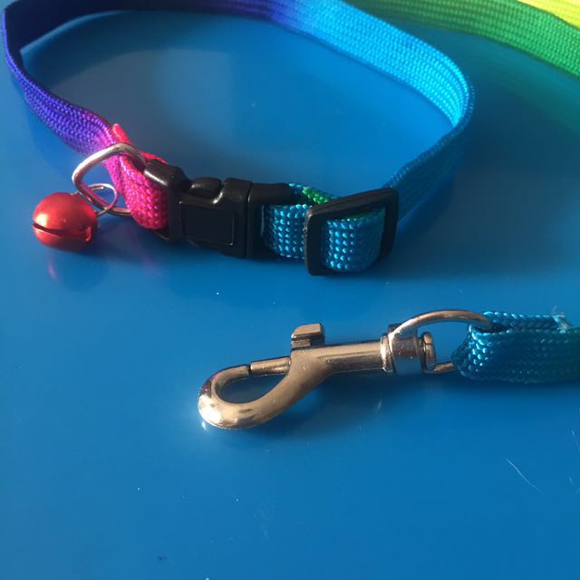 Rainbow Dog Collar Lead Leash On Carousell