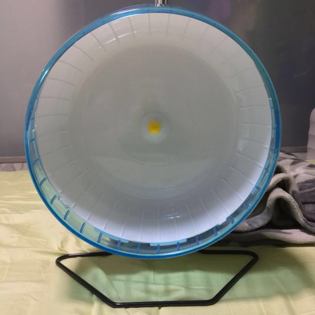30cm clearance hamster wheel