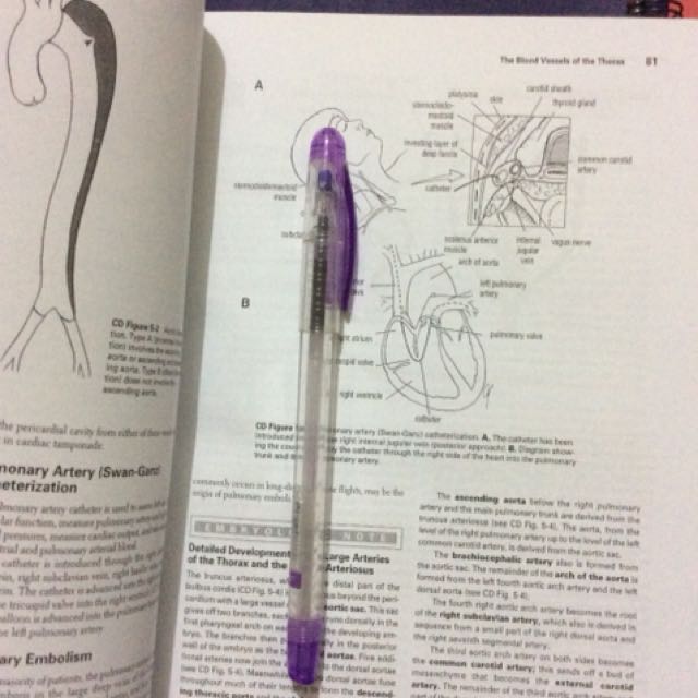CLINICAL ANATOMY BY SYSTEMS PDF FREE DOWNLOAD visual data 5