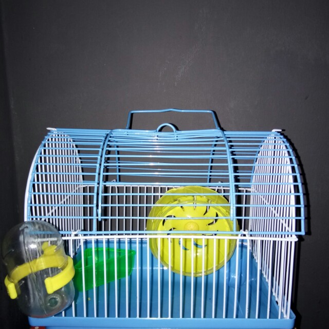 diy sangkar hamster