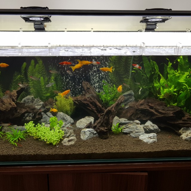 aquarium led light 120cm