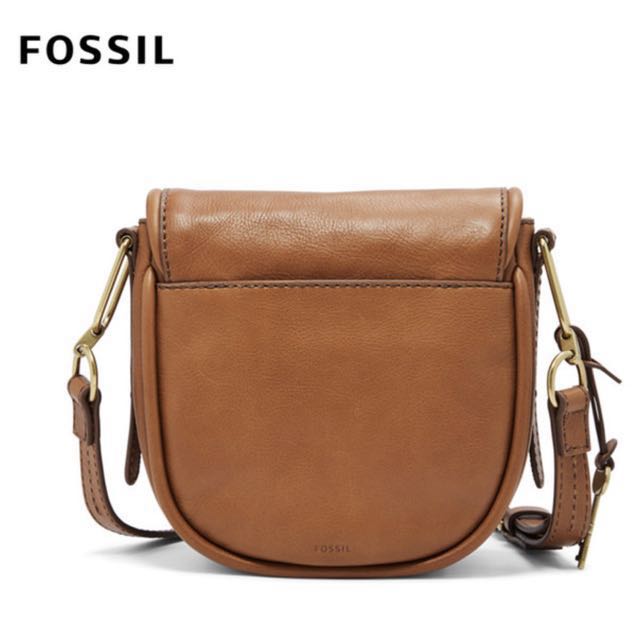 fossil rumi