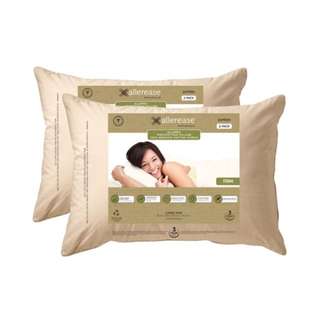 AllerEase 有機布套枕頭二入組 50 x 71 公分