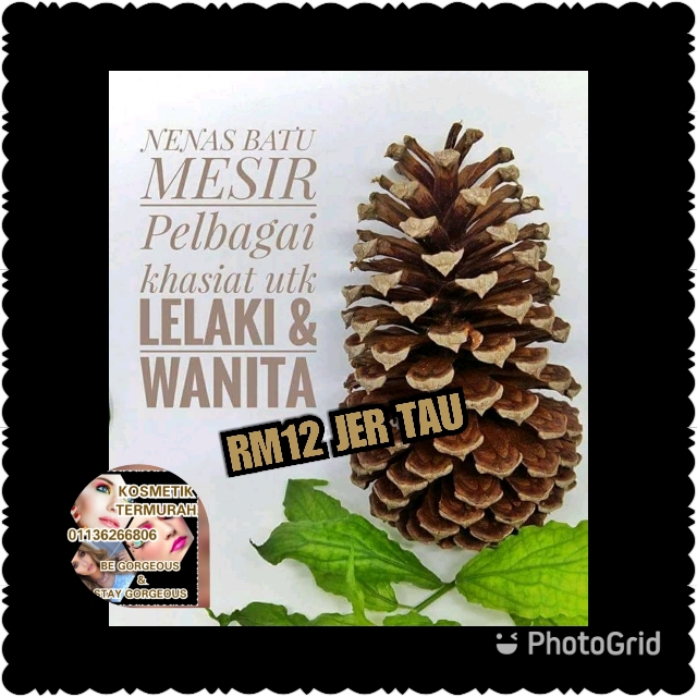 Nenas Batu Terbaikk Health Beauty Skin Bath Body On Carousell