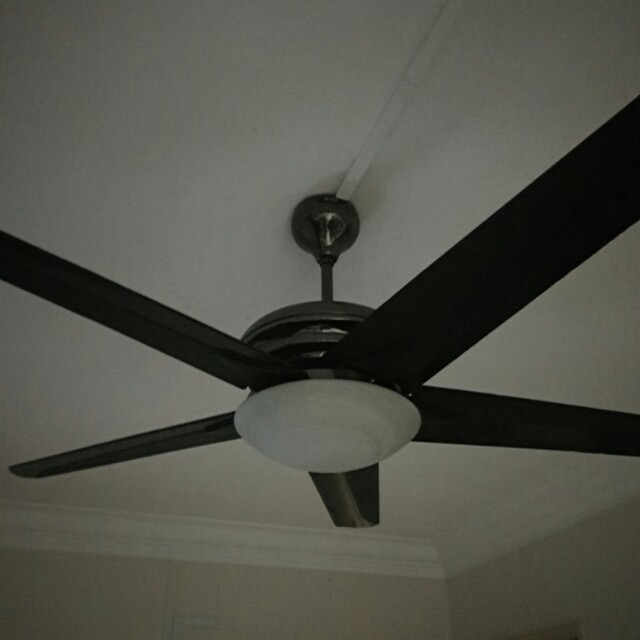 Alpha Ceiling Fan Furniture Others On Carousell