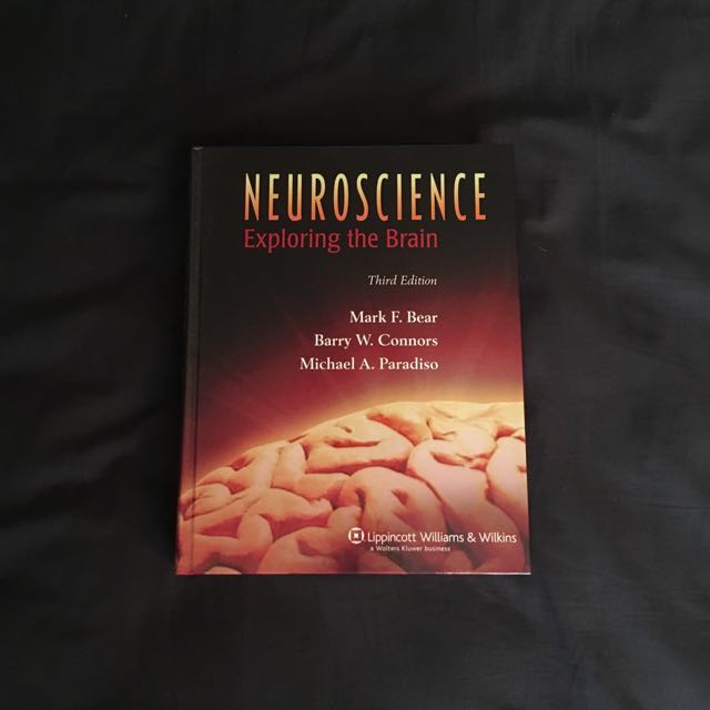 Neuroscience Exploring The Brain By Mark F Bear Barry W Connors And Michael A Paradiso Books Stationery Fiction On Carousell