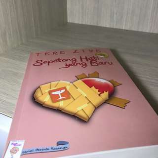 Novel tere liye