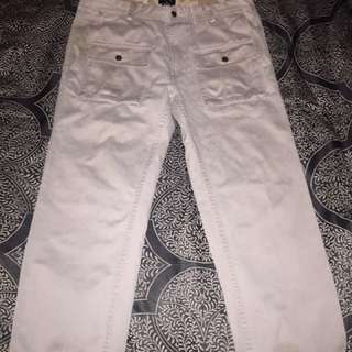 Stussy x icefield collab cargo pants