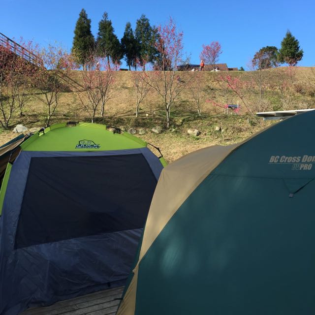 アウトドア テント/タープ Coleman 4～5人Cross 露營帳》BC Cross Dome / 270 UV PRO, 體育器材 