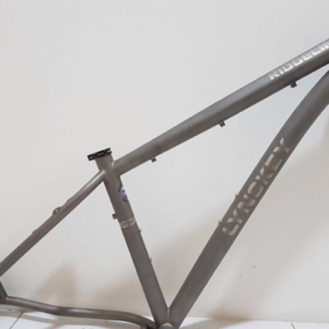 titanium 29 frame