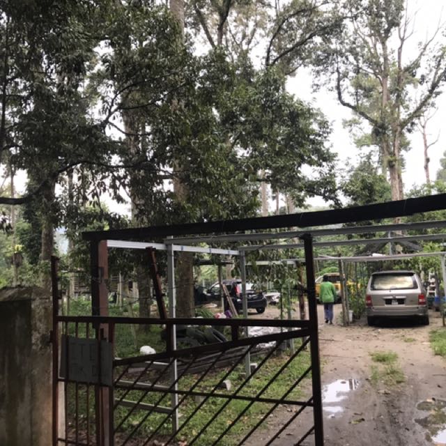 Sewa Pengambilalihan Ladang Ternakan Tanaman Property Rentals On Carousell