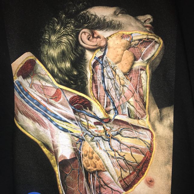 Supreme anatomy shirt 2025