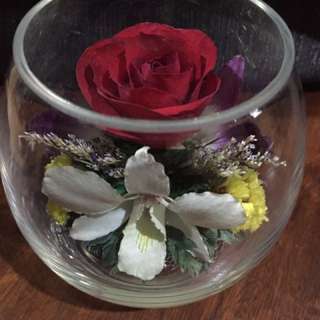 Preserve orchids and rose for your collections