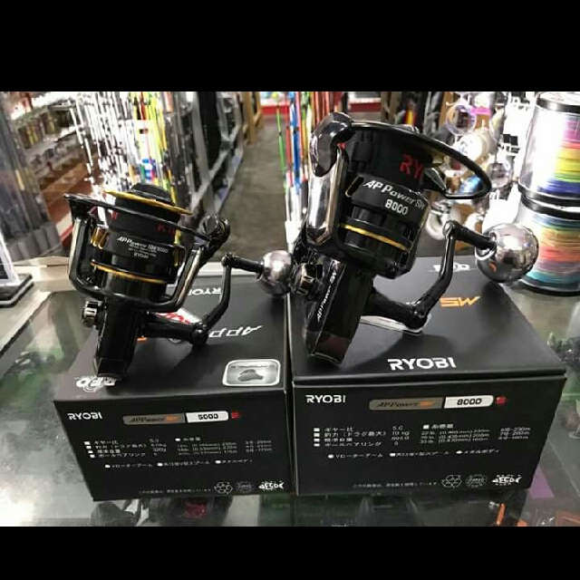 Ryobi Ap Power Sw5000 Sw8000 Sports Other On Carousell