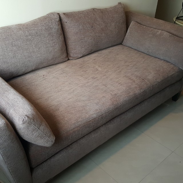 Crate and hotsell barrel marlowe daybed