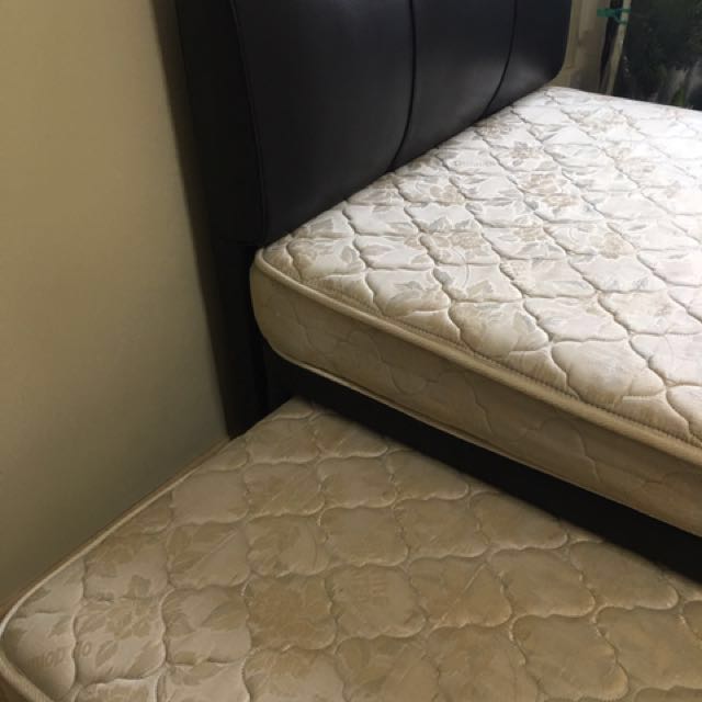 Dunlop Super single pullout bed, Furniture & Home Living, Furniture