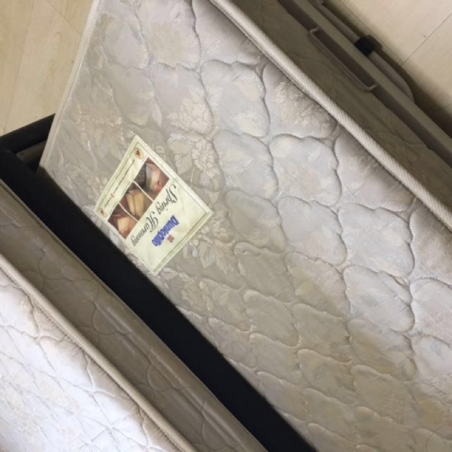 Dunlop Super single pullout bed, Furniture & Home Living, Furniture