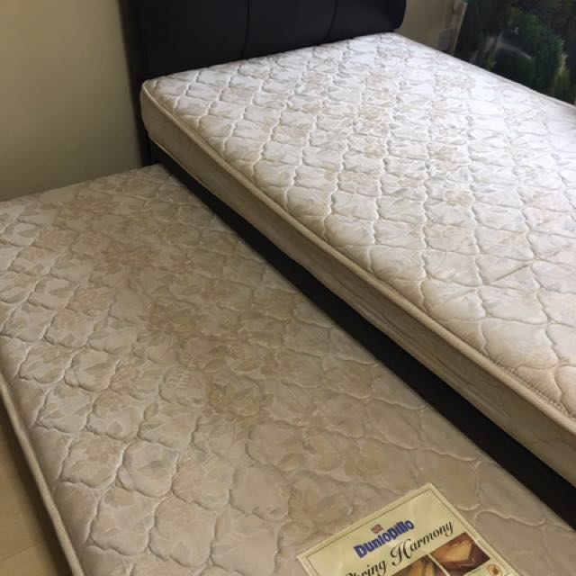 Dunlop Super single pullout bed, Furniture & Home Living, Furniture