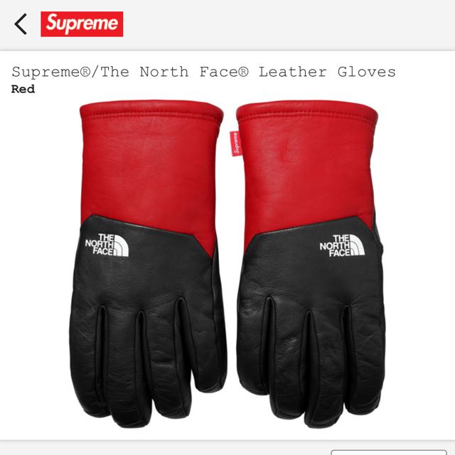 supreme north face gloves