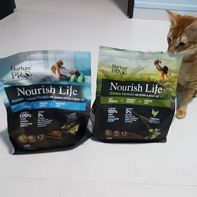 nourish life cat food