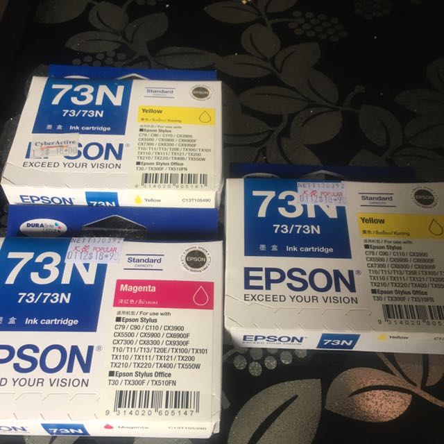 cartridge epson 73n