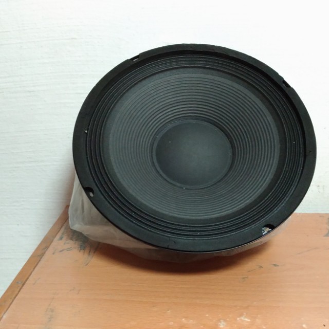 10 inch speaker cone