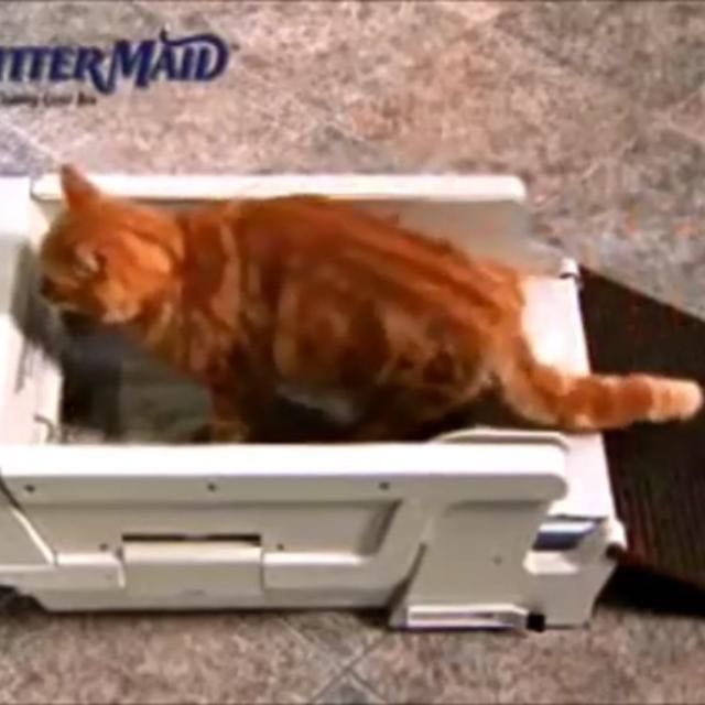 Little maid cat litter new arrivals