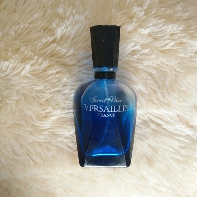 Versailles Secret Blue France