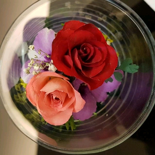 半價 可保存十年的真玫瑰花真空技術real Rose Flowers That Can Last
