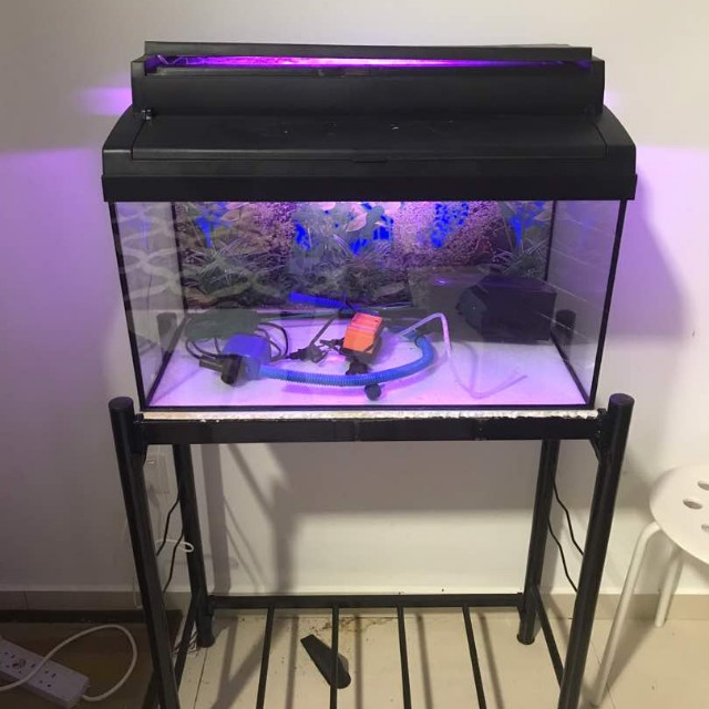 Akuarium Ikan Pet Supplies Homes Other Pet Accessories On Carousell