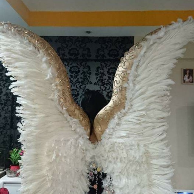 Costume - Angel wings (Victoria Secret-inspired), Everything Else on  Carousell