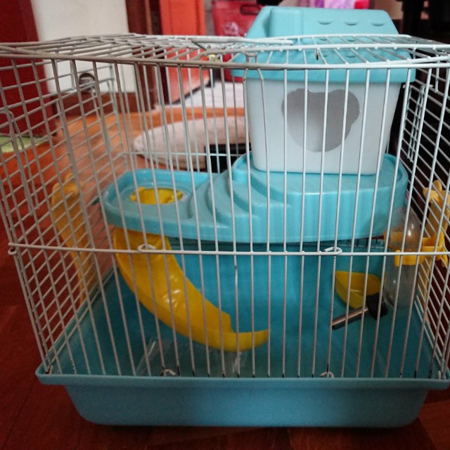 Hamster cage dimension 25 x 25 x 20, Pet Supplies, Homes & Other Pet
