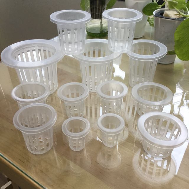 Hydroponics Net Pot Cup Gardening On Carousell