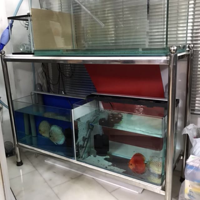 4ft Fish Tank Stainless Steel Stand L130 X W47 H98 Cm For 4ft Fish Tank Stainless Steel Stand L130 X W47 H98 Cm For Location Bukit Batok 650524 On Carou