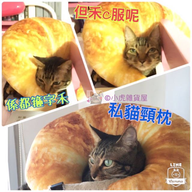☆預購☆日本貓星人麵包 Cushion 墊