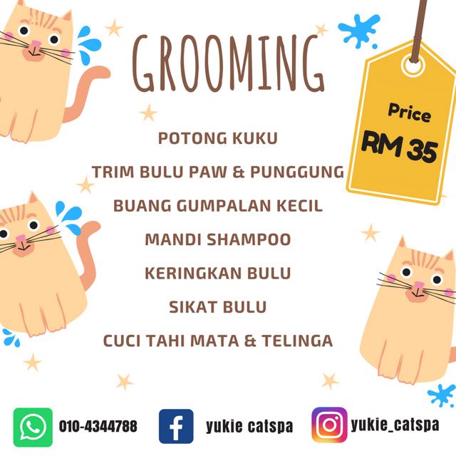 Cat Spa Pet Supplies Pet Food On Carousell