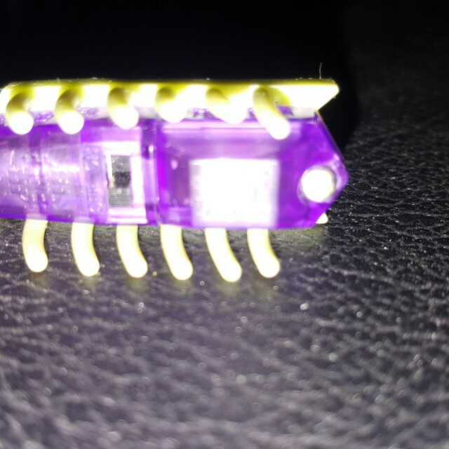 HEXBUG (Category: Toys & Games) located in Pasig City. Submitted by mf161653 (Listing ID 135753706, Image 2). Description: Used thrice Free 5 alkaline button cell No box.